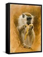 Green Monkey 11-Michael Jackson-Framed Stretched Canvas