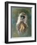 Green Monkey Study-Michael Jackson-Framed Giclee Print