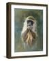 Green Monkey Study-Michael Jackson-Framed Giclee Print