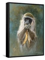 Green Monkey Study-Michael Jackson-Framed Stretched Canvas