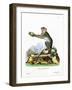 Green Monkey-null-Framed Giclee Print