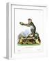 Green Monkey-null-Framed Giclee Print