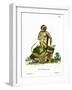 Green Monkey-null-Framed Giclee Print