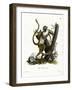 Green Monkey-null-Framed Giclee Print