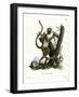 Green Monkey-null-Framed Giclee Print