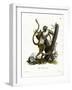 Green Monkey-null-Framed Giclee Print