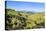 Green Mounds with the Tongariro National Park in the Background, North Island, New Zealand, Pacific-Michael Runkel-Stretched Canvas