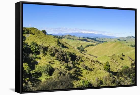 Green Mounds with the Tongariro National Park in the Background, North Island, New Zealand, Pacific-Michael Runkel-Framed Stretched Canvas