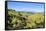 Green Mounds with the Tongariro National Park in the Background, North Island, New Zealand, Pacific-Michael Runkel-Framed Stretched Canvas