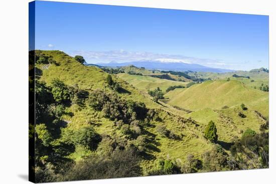 Green Mounds with the Tongariro National Park in the Background, North Island, New Zealand, Pacific-Michael Runkel-Stretched Canvas