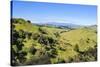 Green Mounds with the Tongariro National Park in the Background, North Island, New Zealand, Pacific-Michael Runkel-Stretched Canvas