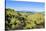 Green Mounds with the Tongariro National Park in the Background, North Island, New Zealand, Pacific-Michael Runkel-Stretched Canvas