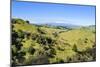 Green Mounds with the Tongariro National Park in the Background, North Island, New Zealand, Pacific-Michael Runkel-Mounted Photographic Print