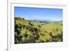 Green Mounds with the Tongariro National Park in the Background, North Island, New Zealand, Pacific-Michael Runkel-Framed Photographic Print