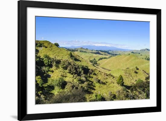 Green Mounds with the Tongariro National Park in the Background, North Island, New Zealand, Pacific-Michael Runkel-Framed Photographic Print