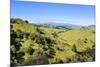 Green Mounds with the Tongariro National Park in the Background, North Island, New Zealand, Pacific-Michael Runkel-Mounted Photographic Print