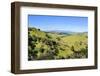 Green Mounds with the Tongariro National Park in the Background, North Island, New Zealand, Pacific-Michael Runkel-Framed Photographic Print