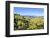 Green Mounds with the Tongariro National Park in the Background, North Island, New Zealand, Pacific-Michael Runkel-Framed Photographic Print