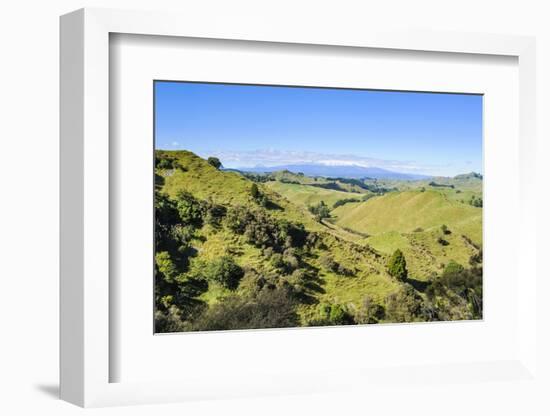 Green Mounds with the Tongariro National Park in the Background, North Island, New Zealand, Pacific-Michael Runkel-Framed Photographic Print