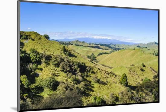 Green Mounds with the Tongariro National Park in the Background, North Island, New Zealand, Pacific-Michael Runkel-Mounted Photographic Print