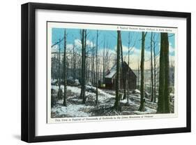 Green Mountains, Vermont, View of a Typical Vermont Sugar Orchard-Lantern Press-Framed Art Print