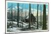 Green Mountains, Vermont, View of a Typical Vermont Sugar Orchard-Lantern Press-Mounted Art Print