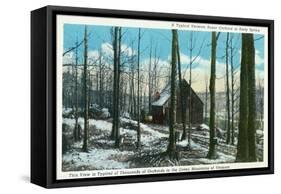 Green Mountains, Vermont, View of a Typical Vermont Sugar Orchard-Lantern Press-Framed Stretched Canvas