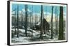 Green Mountains, Vermont, View of a Typical Vermont Sugar Orchard-Lantern Press-Framed Stretched Canvas