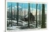 Green Mountains, Vermont, View of a Typical Vermont Sugar Orchard-Lantern Press-Stretched Canvas