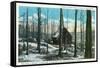 Green Mountains, Vermont, View of a Typical Vermont Sugar Orchard-Lantern Press-Framed Stretched Canvas