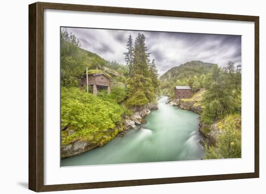 Green Nature-Viviane Fedieu Daniel-Framed Photographic Print