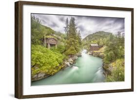 Green Nature-Viviane Fedieu Daniel-Framed Photographic Print