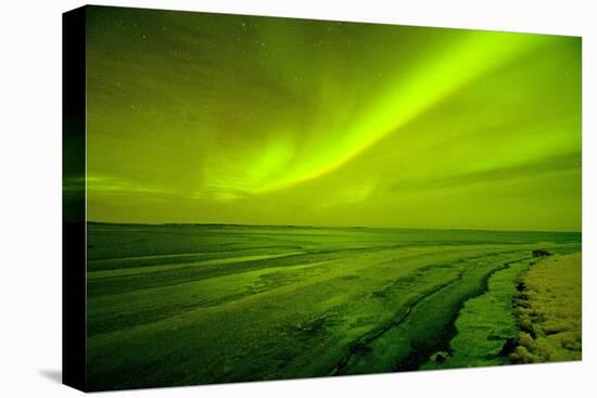 Green Northern Lights over the Sea, Beaufort Sea, ANWR, Alaska, USA-Steve Kazlowski-Stretched Canvas