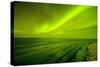 Green Northern Lights over the Sea, Beaufort Sea, ANWR, Alaska, USA-Steve Kazlowski-Stretched Canvas