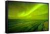 Green Northern Lights over the Sea, Beaufort Sea, ANWR, Alaska, USA-Steve Kazlowski-Framed Stretched Canvas