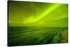 Green Northern Lights over the Sea, Beaufort Sea, ANWR, Alaska, USA-Steve Kazlowski-Stretched Canvas