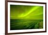 Green Northern Lights over the Sea, Beaufort Sea, ANWR, Alaska, USA-Steve Kazlowski-Framed Photographic Print