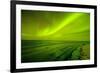 Green Northern Lights over the Sea, Beaufort Sea, ANWR, Alaska, USA-Steve Kazlowski-Framed Photographic Print