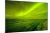 Green Northern Lights over the Sea, Beaufort Sea, ANWR, Alaska, USA-Steve Kazlowski-Mounted Photographic Print