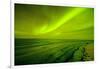 Green Northern Lights over the Sea, Beaufort Sea, ANWR, Alaska, USA-Steve Kazlowski-Framed Photographic Print