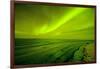 Green Northern Lights over the Sea, Beaufort Sea, ANWR, Alaska, USA-Steve Kazlowski-Framed Photographic Print