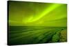 Green Northern Lights over the Sea, Beaufort Sea, ANWR, Alaska, USA-Steve Kazlowski-Stretched Canvas