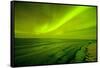 Green Northern Lights over the Sea, Beaufort Sea, ANWR, Alaska, USA-Steve Kazlowski-Framed Stretched Canvas