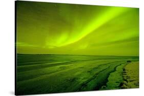 Green Northern Lights over the Sea, Beaufort Sea, ANWR, Alaska, USA-Steve Kazlowski-Stretched Canvas