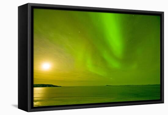 Green Northern Lights over the Sea, Beaufort Sea, ANWR, Alaska, USA-Steve Kazlowski-Framed Stretched Canvas