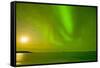 Green Northern Lights over the Sea, Beaufort Sea, ANWR, Alaska, USA-Steve Kazlowski-Framed Stretched Canvas