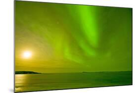 Green Northern Lights over the Sea, Beaufort Sea, ANWR, Alaska, USA-Steve Kazlowski-Mounted Photographic Print