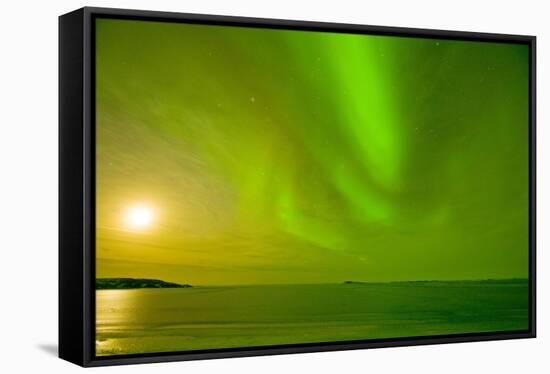 Green Northern Lights over the Sea, Beaufort Sea, ANWR, Alaska, USA-Steve Kazlowski-Framed Stretched Canvas