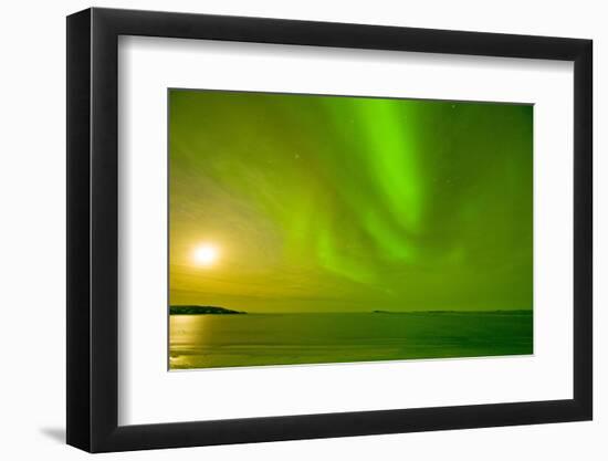 Green Northern Lights over the Sea, Beaufort Sea, ANWR, Alaska, USA-Steve Kazlowski-Framed Premium Photographic Print