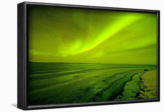 Green Northern Lights over the Sea, Beaufort Sea, ANWR, Alaska, USA-Steve Kazlowski-Framed Photographic Print